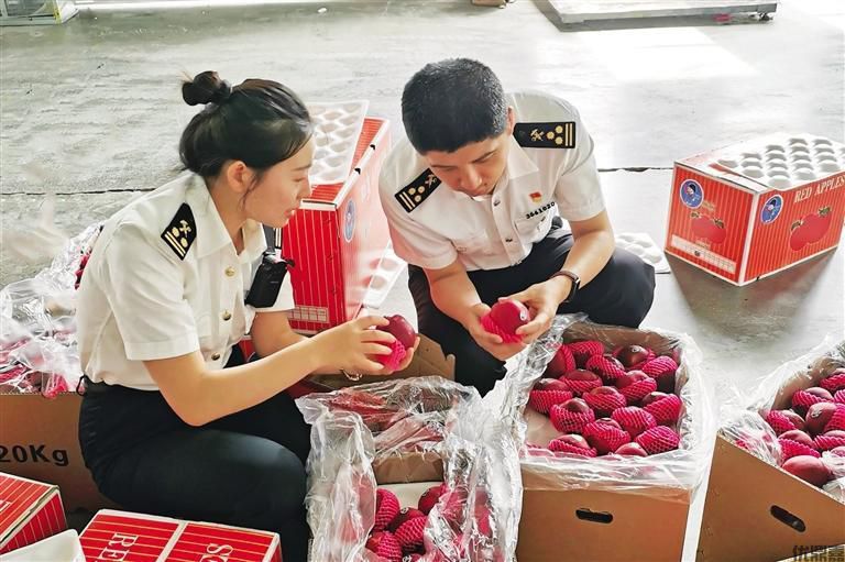 蘋果出口報(bào)關(guān)全攻略:避開這些雷區(qū)讓你輕松通關(guān)